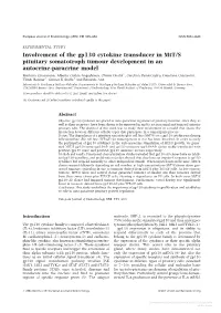 Involvement of the Gp130 Cytokine Transducer in Mtt/S Pituitary