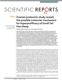 Ovarian Proteomic Study Reveals the Possible Molecular Mechanism For