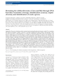 Revisiting the Ichthyodiversity of Java and Bali Through DNA Barcodes