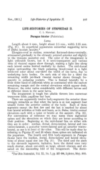 Article Full Text PDF (1117KB)