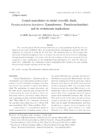 Cranial Musculature in Extant Crocodile Shark, Pseudocarcharias Kamoharai (Lamniformes : Pseudocarchariidae) and Its Evolutionary Implications