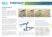 FORESIGHT SCIENCE DIVISION1 Brief FORESIGHT August 2017 Brief 001 Early Warning, Emerging Issues and Futures Saving Lake Faguibine Background