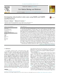 Investigating Mitochondrial Redox State Using NADH and NADPH Autoﬂuorescence