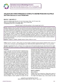 ISOLATION and CHARACTERIZATION of HYDROLYTIC ENZYME PRODUCING HALOPHILIC BACTERIA Salinicoccus Roseus from OKHA