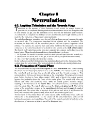 Neurulation 6.1