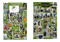 Autumn 2020 the Link Parish Magazine Autumn 2020 Tutshill Tidenham Parish Magazine 23 22 Scarecrow60p Autumn 2020 Trail 2020