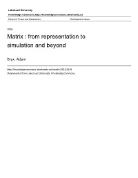 Matrix : from Representation to Simulation and Beyond