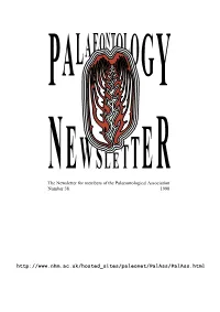 Newsletter Number 38