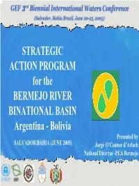 STRATEGIC ACTION PROGRAM for the BERMEJO RIVER BINATIONAL