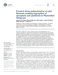 Formin-2 Drives Polymerisation of Actin Filaments Enabling