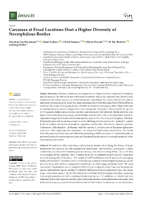 Carcasses at Fixed Locations Host a Higher Diversity of Necrophilous Beetles