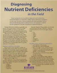 Diagnosing Nutrient Deficiencies in the Field