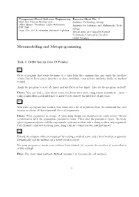 Metamodelling and Metaprogramming