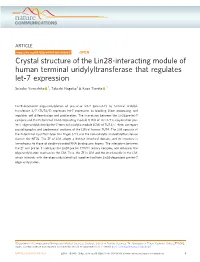 Crystal Structure of the Lin28-Interacting Module of Human Terminal Uridylyltransferase That Regulates Let-7 Expression