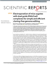 Electroporation of Mice Zygotes with Dual Guide RNA/Cas9 Complexes for Simple and Efficient Cloning-Free Genome Editing