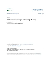 A Maximum Principle in the Engel Group James Klinedinst University of South Florida, Klinedinstjames@Gmail.Com