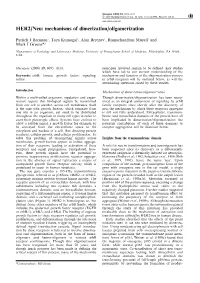 HER2/Neu: Mechanisms of Dimerization/Oligomerization