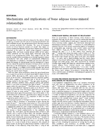 Mechanisms and Implications of Bone Adipose Tissue-Mineral Relationships