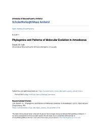 Phylogenics and Patterns of Molecular Evolution in Amoebozoa