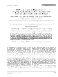 RNA As a Source of Transposase for Sleeping Beauty-Mediated Gene Insertion and Expression in Somatic Cells and Tissues