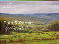 Pulp & Paper: Focus on Hardwood Opportunities