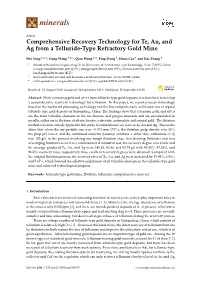 Comprehensive Recovery Technology for Te, Au, and Ag from a Telluride-Type Refractory Gold Mine