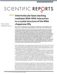 Intermolecular Base Stacking Mediates RNA-RNA Interaction in a Crystal