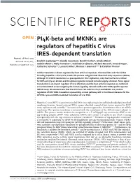 PI4K-Beta and MKNK1 Are Regulators of Hepatitis C Virus