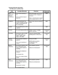 Cell Structure and Function Answered Review SP 08.Pdf