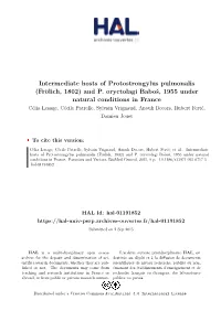 Intermediate Hosts of Protostrongylus Pulmonalis (Frölich, 1802) and P