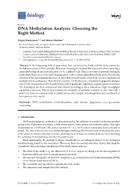 DNA Methylation Analysis: Choosing the Right Method