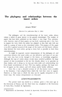 The Phylogeny and Relationships Between the Inseet Orders