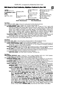 YEARLING, Consigned by Watership Down Stud
