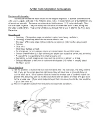 Arctic Tern Migration Simulation