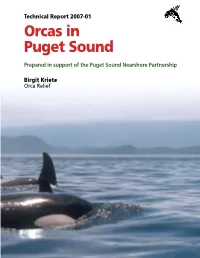 Orcas in Puget Sound