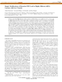 Simple Modifications of Branched PEI Lead to Highly Efficient Sirna