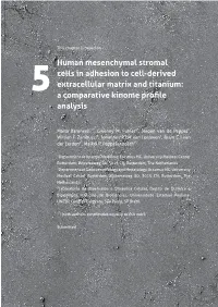 The Extracellular Matrix for Bone Regeneration