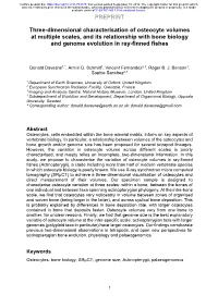 Three-Dimensional Characterisation of Osteocyte Volumes at Multiple Scales, and Its Relationship with Bone Biology and Genome Evolution in Ray-Finned Fishes