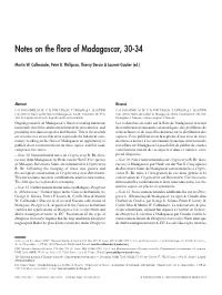 Mise En Page 1