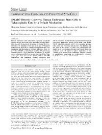 SMAD7 Directly Converts Human Embryonic Stem Cells to Telencephalic Fate by a Default Mechanism