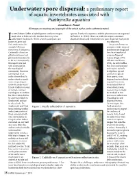 Underwater Spore Dispersal: a Preliminary Report of Aquatic Invertebrates Associated with Psathyrella Aquatica Jonathan L