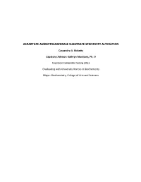 Aspartate Aminotransferase Substrate Specificity Alteration