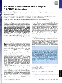Structural Characterization of the Rabphilin-3A–SNAP25 Interaction