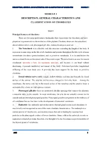 Description, General Characteristics and Classification of Chordates Module 1