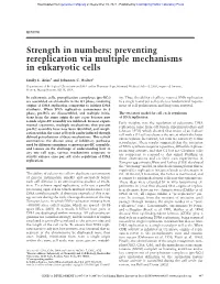 Preventing Rereplication Via Multiple Mechanisms in Eukaryotic Cells