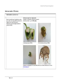 Quick Scan Number: ENT–2012-03