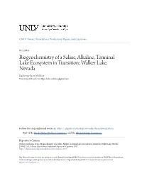 Biogeochemistry of a Saline, Alkaline, Terminal Lake Ecosystem In