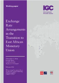 Exchange Rate Arrangements in the Transition to East African Monetary Union