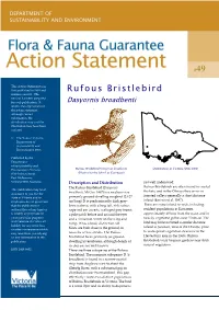 Rufous Bristlebird Version Has Been Prepared for Web Publication