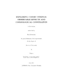 Exploring Cosmic Strings: Observable Effects and Cosmological Constraints